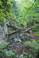 2011 Familienwandertag 006