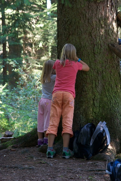 2012_Clubwanderung_5125.jpg